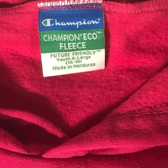 Champion Eco Fleece Women Pink Hoodie Activewear Workout Training Sweater - Picture 4 of 6